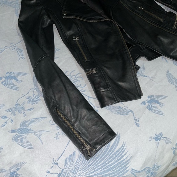 Blink | 100% Genuine Lamb Leather Moto Jacket - Picture 6 of 8